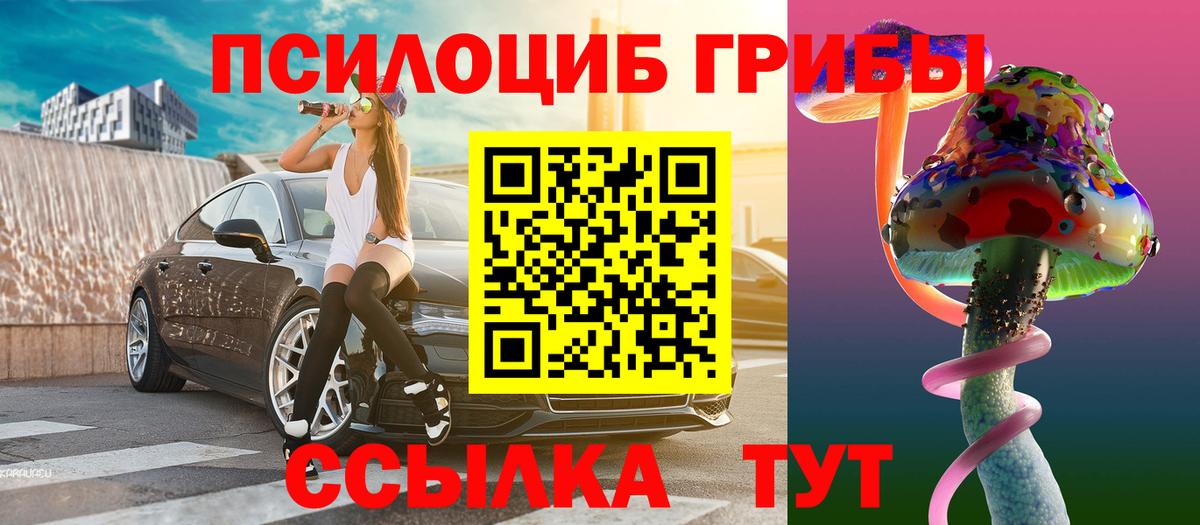 Галлюциногенные грибы Psilocybe Геленджик