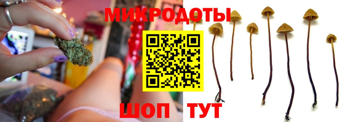 Геленджик  Галлюциногенные грибы ЛСД  закладки  Вход с VPN 